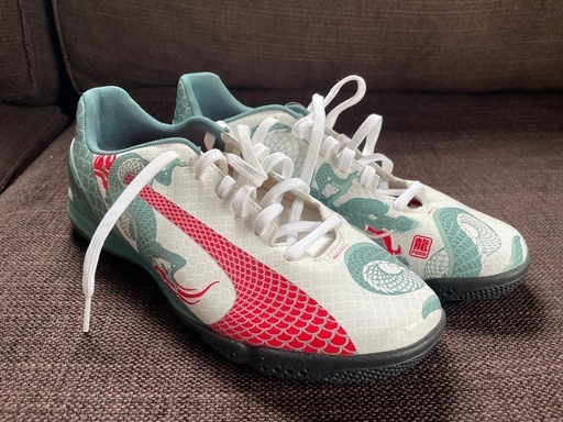 新品未使用 サッカーシューズ 25cm PUMA evoSPEED 龍ドラゴン