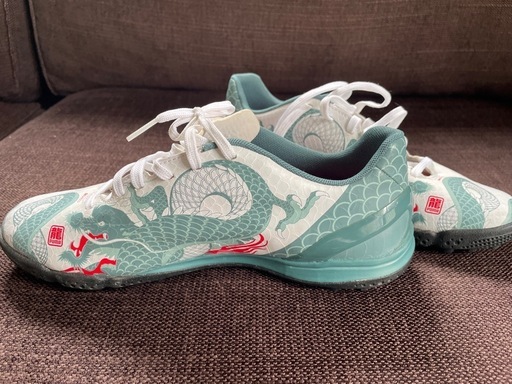 新品未使用 サッカーシューズ 25cm PUMA evoSPEED 龍ドラゴン