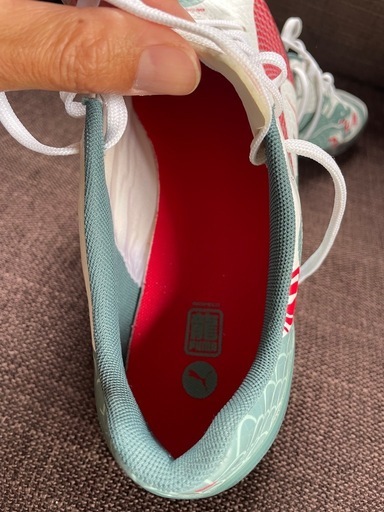 新品未使用 サッカーシューズ　25cm PUMA evoSPEED 龍ドラゴン　