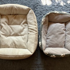 犬用の服、レインコート、etcの画像