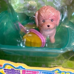 パイロット　まほうのペットやさん　かえちゃOh!!の画像