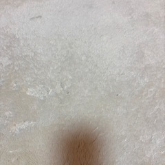 ラグ　カーペット　マット　の画像