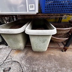 10/14在庫更新🌈連絡必要‼️ご来店してご自由にお持帰り下さい❗️ 植木鉢❗️土❗️の画像