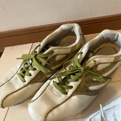 人気ブランドDragon Beardのスニーカー２足とNEVSURFのホワイトスニーカーの画像