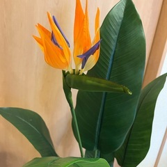 IKEA フェイクグリーン　観葉植物　フェイカの画像