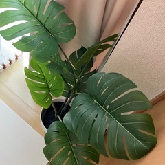 IKEA フェイクグリーン　観葉植物　フェイカの画像