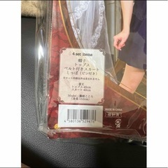 コスプレ　レディアニマル ポリス×犬の画像