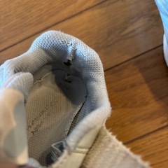 瞬足　17.5の画像