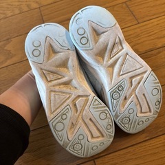 瞬足　17.5の画像