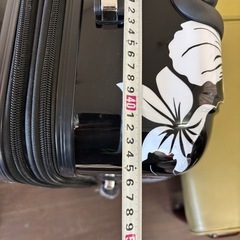 大きいサイズのスーツケース　キャリーケースの画像