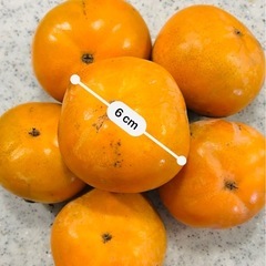 【完全無農薬】柿を食べると目にも良い！　
甘柿 20個の画像