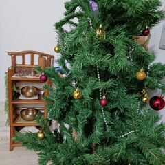 お取引中・クリスマスツリーの画像