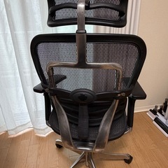【Ergohuman/故障品/中古品】エルゴヒューマン プロ オットマン内蔵の画像