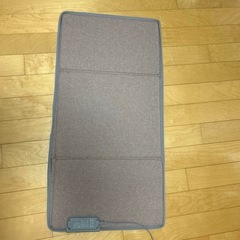 パネル電気 ヒーター　LaFutureの画像