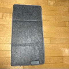 パネル電気 ヒーター　LaFutureの画像