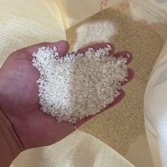 🌾令和7年度新米ヒノヒカリ🌾の画像