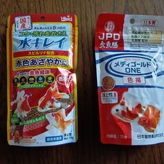 金魚４匹　餌新品未開封２袋付きの画像