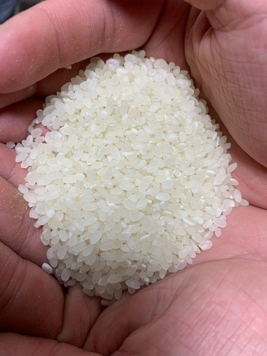 新米令和7年産農薬不使用玄米30キロ