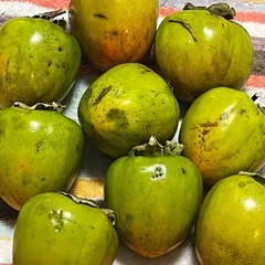 無農薬　干し柿用　渋柿2kg　愛宕柿　りんごサイズの画像