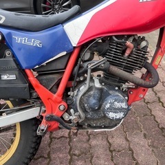 【6速ミッション】ホンダTLR200の画像