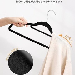 ＜交渉中、一時受付停止>ハンガー すべらない 20本組 の画像