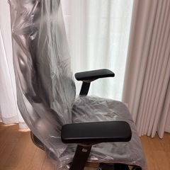 【Ergohuman/故障品/中古品】エルゴヒューマン プロ オットマン内蔵の画像