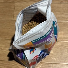 亀のエサ（おおきなカメかっこ）の画像