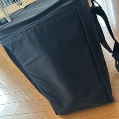 COSTCO クーラーバッグの画像