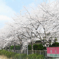 理学療法士（PT）／“もっと元気でいたい”想いに応えるお仕事！未経験歓迎！の画像