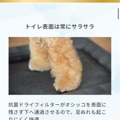 消臭ラボ トイレの画像