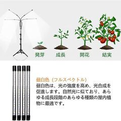 LED植物育成ライトの画像