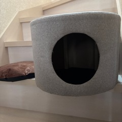 猫ちゃん隠れ家の画像