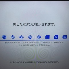ジョイコン　どうぶつの森カラー　ストラップ付きの画像