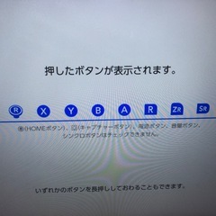 ジョイコン　どうぶつの森カラー　ストラップ付きの画像