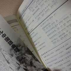 6.中国語辞典　辞書　ケース付の画像