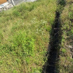 農地借りたい方（那珂川市）の画像