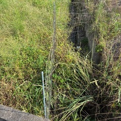 農地借りたい方（那珂川市）の画像