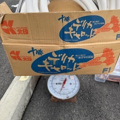 今からとり来れる人限定　銅まとめの画像