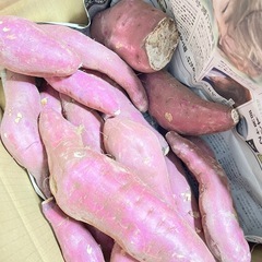 11茨城県産、紅はるか、5キロ、訳ありの画像