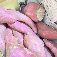 11茨城県産、紅はるか、5キロ、訳ありの画像
