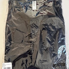 °・*:.。.☆グリマーポロシャツ4Lの画像