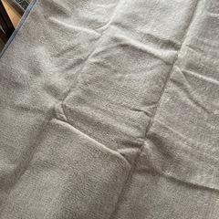 ニトリ　カーペットの画像