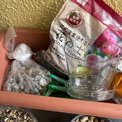 プランターやミニセメントポットなどの画像