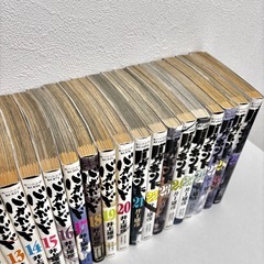バガボンド1~29巻の画像