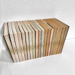 666 サタン全19巻セットの画像