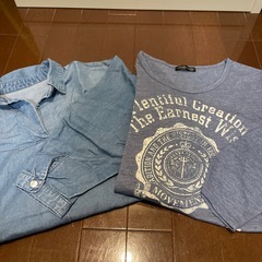 洋服/レディースの画像