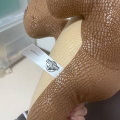 大きいティラノサウルスの画像