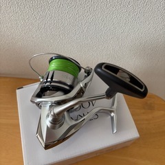 19ストラディックの画像