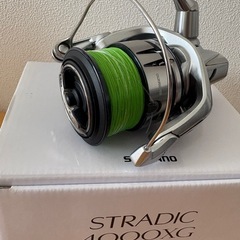19ストラディックの画像