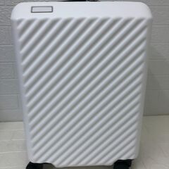 ACE エース イグザクト 機内持込みサイズ スーツケース 拡張機能付きホワイトの画像